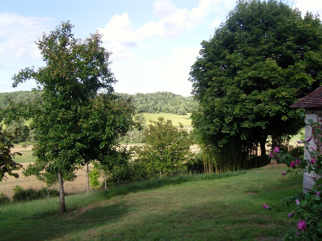 Gîte De Serre Le Grand-Pressigny Kamer foto