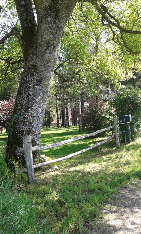 Gîte De Serre Le Grand-Pressigny Buitenkant foto